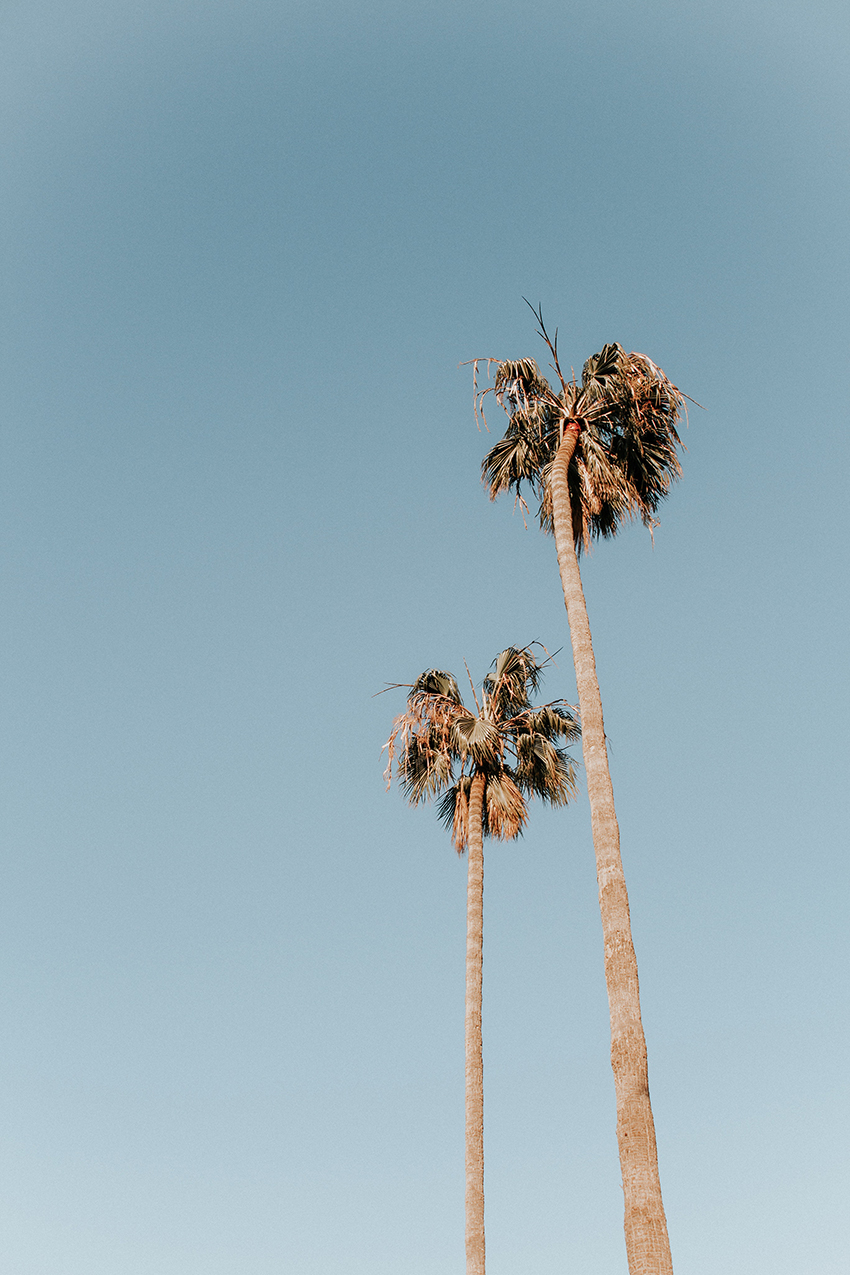 What Chasing a Napkin Down a California Beach Taught Me About Landfills, Storytelling, and Lifelong Learning