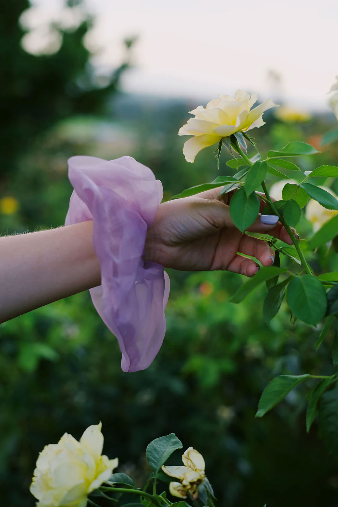 oversized scrunchie by wallflower