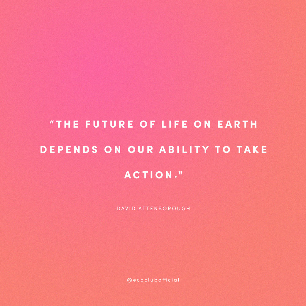 David Attenborough Life On Earth Quotes